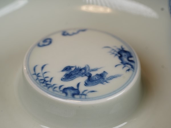 产品展示